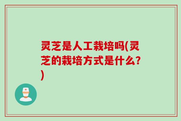 灵芝是人工栽培吗(灵芝的栽培方式是什么？)