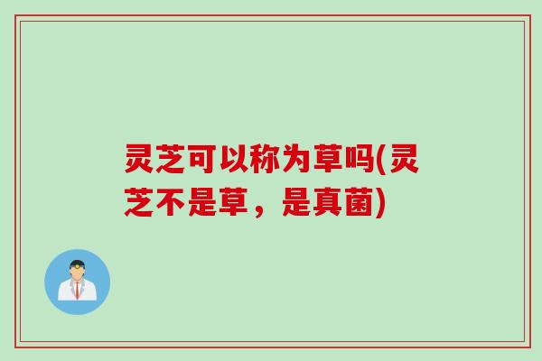 灵芝可以称为草吗(灵芝不是草，是真菌)