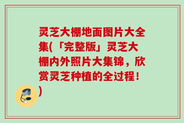 灵芝大棚地面图片大全集(「完整版」灵芝大棚内外照片大集锦，欣赏灵芝种植的全过程！)
