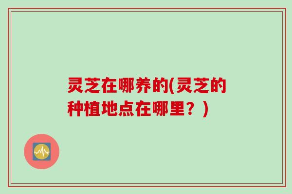 灵芝在哪养的(灵芝的种植地点在哪里？)