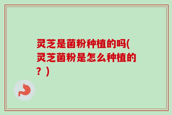 灵芝是菌粉种植的吗(灵芝菌粉是怎么种植的?) 灵芝是菌粉种植的吗(灵芝菌粉是怎么种植的?)