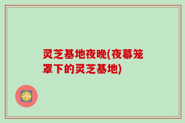 灵芝基地夜晚(夜幕笼罩下的灵芝基地)