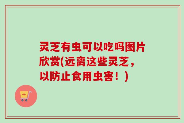 灵芝有虫可以吃吗图片欣赏(远离这些灵芝，以防止食用虫害！)
