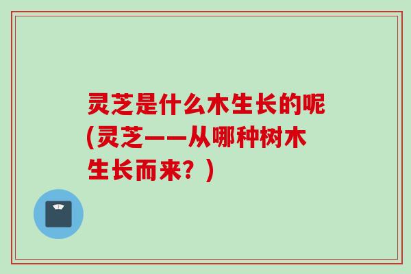 灵芝是什么木生长的呢(灵芝——从哪种树木生长而来？)