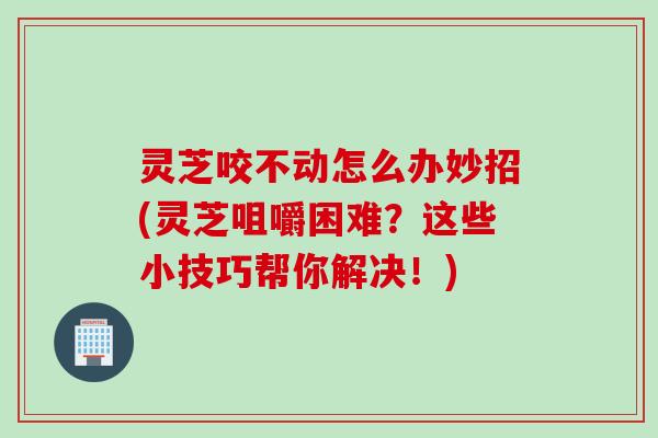 灵芝咬不动怎么办妙招(灵芝咀嚼困难？这些小技巧帮你解决！)