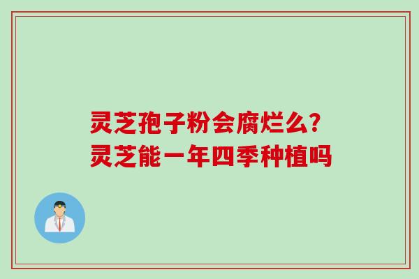 灵芝孢子粉会腐烂么？灵芝能一年四季种植吗