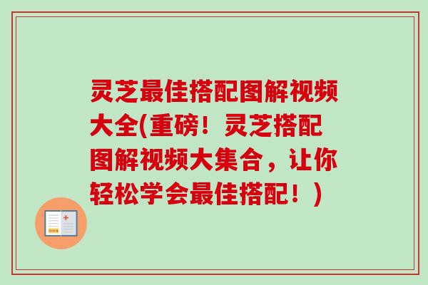 灵芝最佳搭配图解视频大全(重磅！灵芝搭配图解视频大集合，让你轻松学会最佳搭配！)