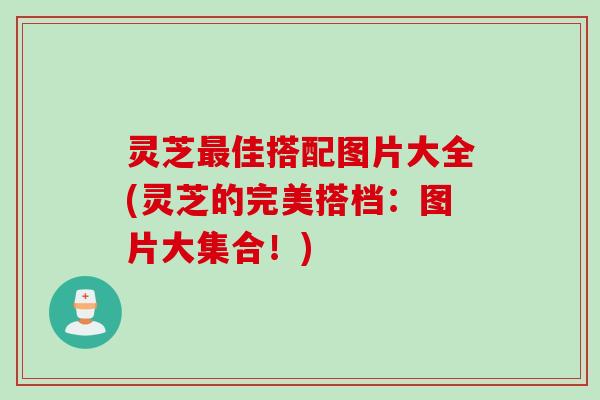 灵芝佳搭配图片大全(灵芝的完美搭档:图片大集合!) 灵芝佳搭配图片大全(灵芝的完美搭档:图片大集合!)