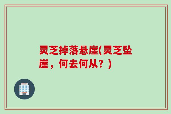 灵芝掉落悬崖(灵芝坠崖，何去何从？)