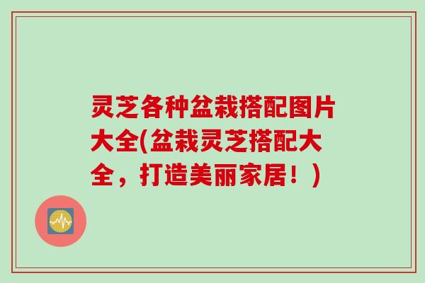 灵芝各种盆栽搭配图片大全(盆栽灵芝搭配大全，打造美丽家居！)