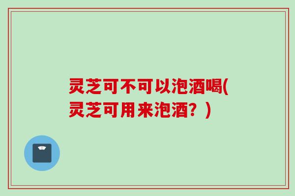 灵芝可不可以泡酒喝(灵芝可用来泡酒？)
