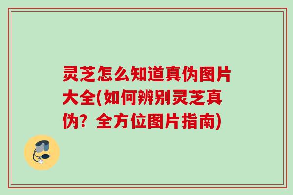 灵芝怎么知道真伪图片大全(如何辨别灵芝真伪？全方位图片指南)