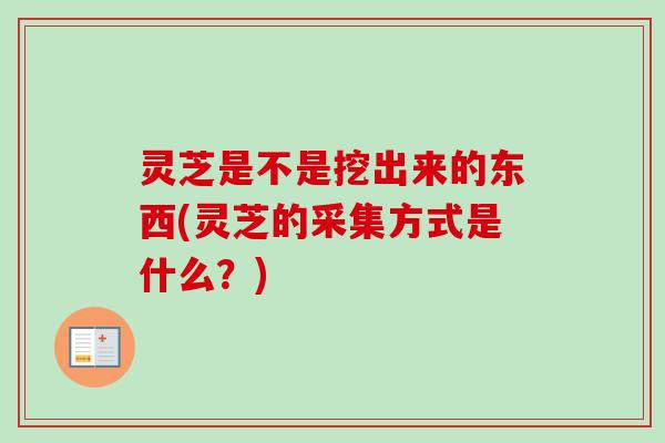 灵芝是不是挖出来的东西(灵芝的采集方式是什么？)