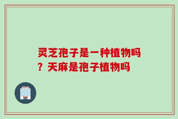 灵芝孢子是一种植物吗？天麻是孢子植物吗