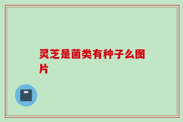 灵芝是菌类有种子么图片