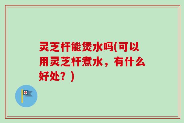 灵芝杆能煲水吗(可以用灵芝杆煮水，有什么好处？)
