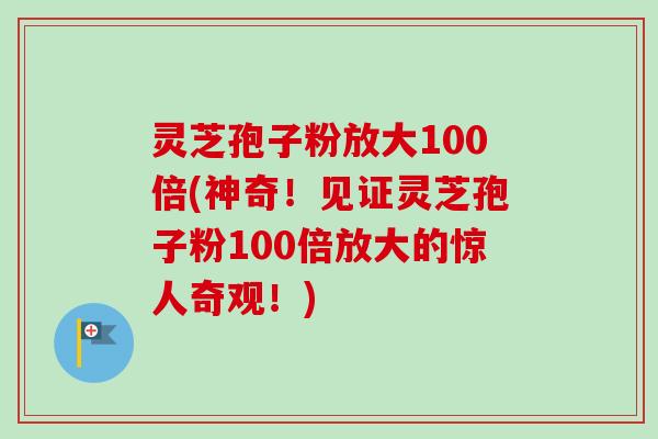 灵芝孢子粉放大100倍(神奇！见证灵芝孢子粉100倍放大的惊人奇观！)