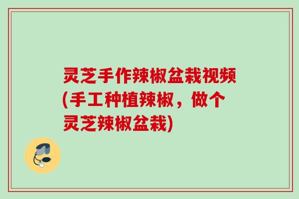 灵芝手作辣椒盆栽视频(手工种植辣椒，做个灵芝辣椒盆栽)
