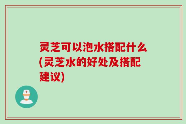 灵芝可以泡水搭配什么(灵芝水的好处及搭配建议)