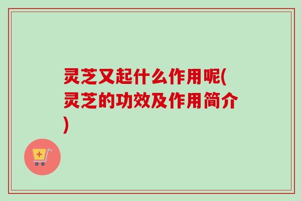 灵芝又起什么作用呢(灵芝的功效及作用简介)