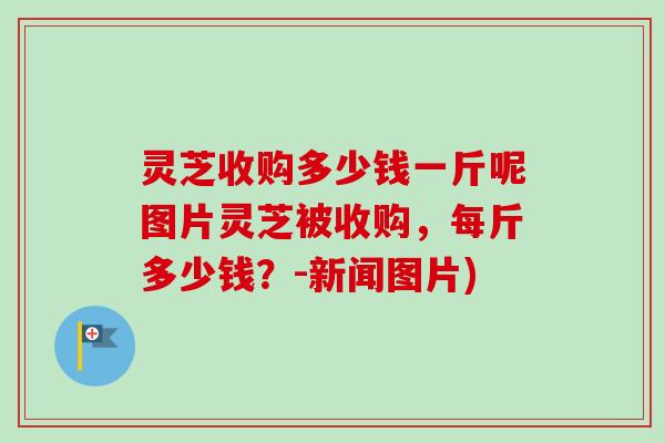 灵芝收购多少钱一斤呢图片灵芝被收购，每斤多少钱？-新闻图片)
