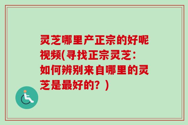 灵芝哪里产正宗的好呢视频(寻找正宗灵芝：如何辨别来自哪里的灵芝是好的？)