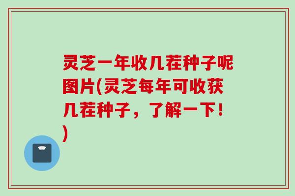 灵芝一年收几茬种子呢图片(灵芝每年可收获几茬种子，了解一下！)