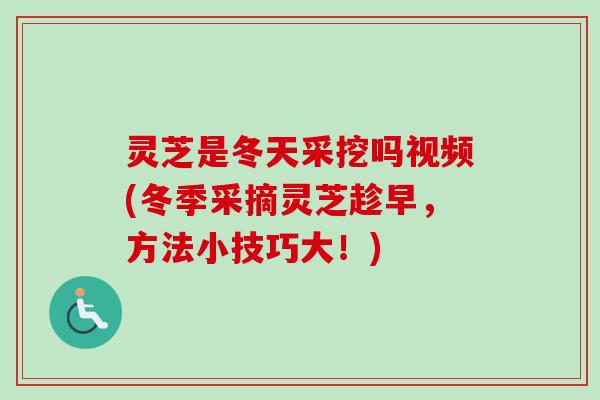灵芝是冬天采挖吗视频(冬季采摘灵芝趁早，方法小技巧大！)