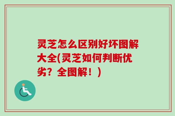 灵芝怎么区别好坏图解大全(灵芝如何判断优劣？全图解！)