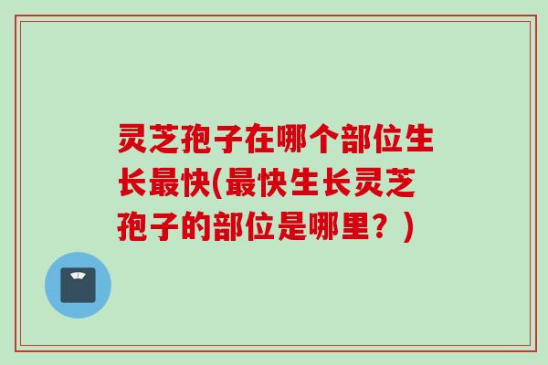 灵芝孢子在哪个部位生长最快(最快生长灵芝孢子的部位是哪里？)