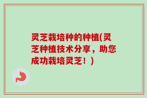 灵芝栽培种的种植(灵芝种植技术分享，助您成功栽培灵芝！)