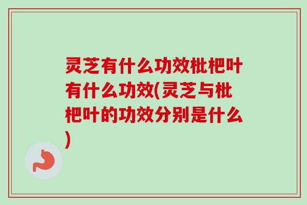 灵芝有什么功效枇杷叶有什么功效(灵芝与枇杷叶的功效分别是什么) 灵芝有什么功效枇杷叶有什么功效(灵芝与枇杷叶的功效分别是什么)