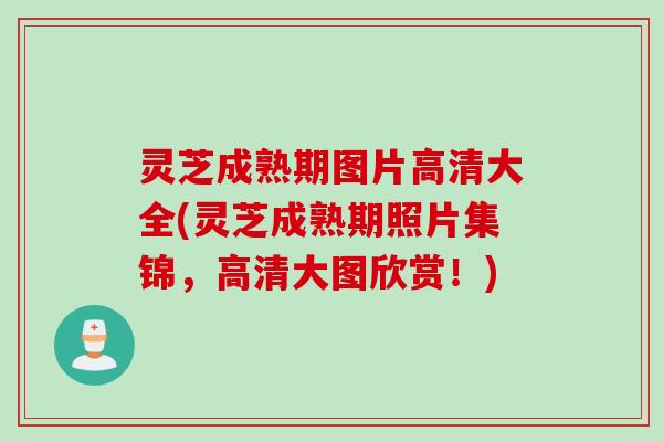 灵芝成熟期图片高清大全(灵芝成熟期照片集锦，高清大图欣赏！)