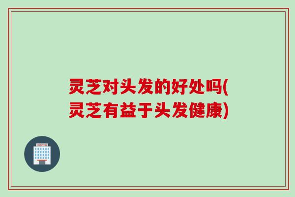 灵芝对头发的好处吗(灵芝有益于头发健康) 灵芝对头发的好处吗(灵芝有益于头发健康)