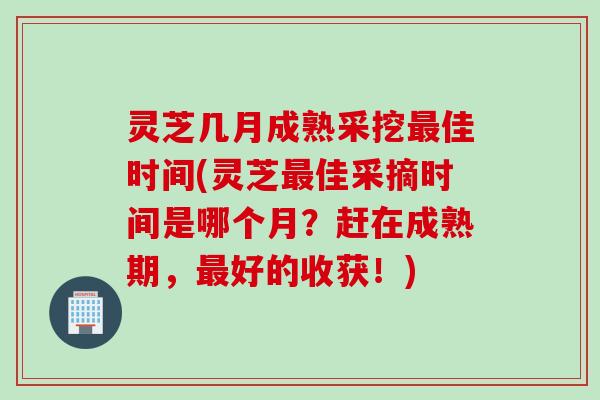灵芝几月成熟采挖最佳时间(灵芝最佳采摘时间是哪个月？赶在成熟期，最好的收获！)