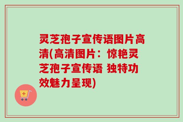 灵芝孢子宣传语图片高清(高清图片：惊艳灵芝孢子宣传语 独特功效魅力呈现)