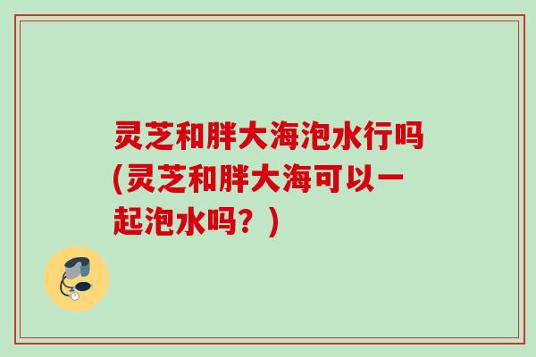 灵芝和胖大海泡水行吗(灵芝和胖大海可以一起泡水吗？)