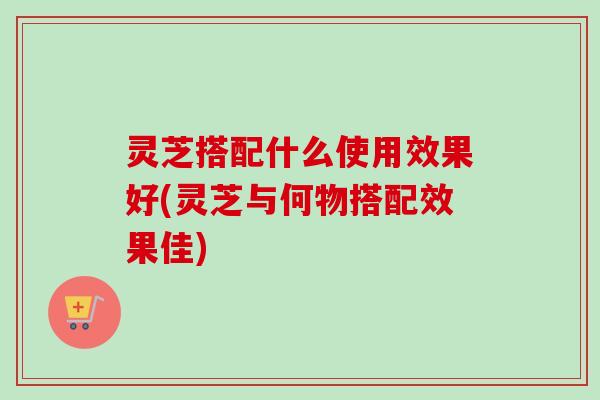 灵芝搭配什么使用效果好(灵芝与何物搭配效果佳)