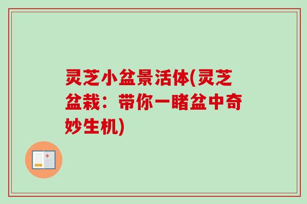 灵芝小盆景活体(灵芝盆栽：带你一睹盆中奇妙生机)