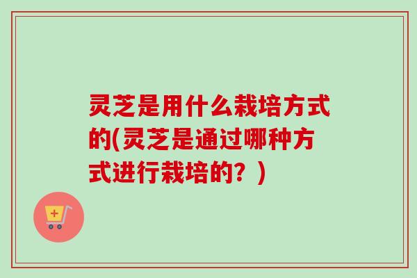 灵芝是用什么栽培方式的(灵芝是通过哪种方式进行栽培的？)