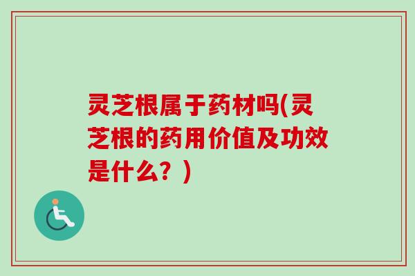 灵芝根属于药材吗(灵芝根的药用价值及功效是什么？)