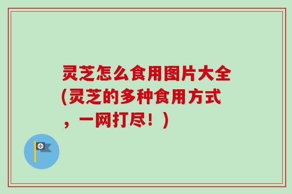 灵芝怎么食用图片大全(灵芝的多种食用方式，一网打尽！)