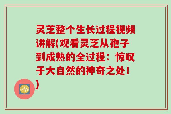 灵芝整个生长过程视频讲解(观看灵芝从孢子到成熟的全过程：惊叹于大自然的神奇之处！)