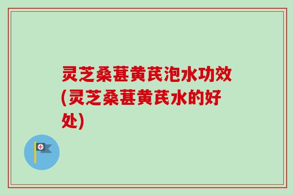 灵芝桑葚黄芪泡水功效(灵芝桑葚黄芪水的好处)