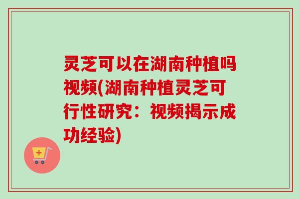 灵芝可以在湖南种植吗视频(湖南种植灵芝可行性研究:视频揭示成功经验) 灵芝可以在湖南种植吗视频(湖南种植灵芝可行性研究:视频揭示成功经验)