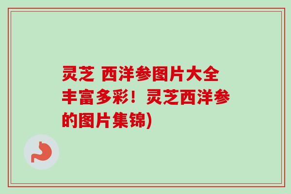 灵芝 西洋参图片大全丰富多彩！灵芝西洋参的图片集锦)