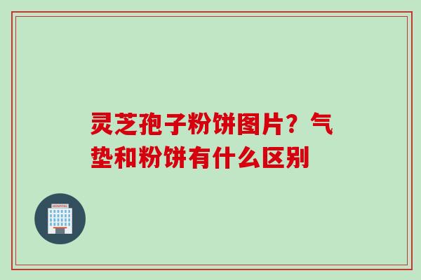 灵芝孢子粉饼图片?气垫和粉饼有什么区别 灵芝孢子粉饼图片?气垫和粉饼有什么区别