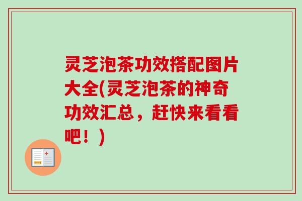 灵芝泡茶功效搭配图片大全(灵芝泡茶的神奇功效汇总,赶快来看看吧!) 灵芝泡茶功效搭配图片大全(灵芝泡茶的神奇功效汇总,赶快来看看吧!)