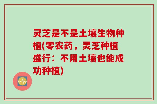 灵芝是不是土壤生物种植(零农药，灵芝种植盛行：不用土壤也能成功种植)