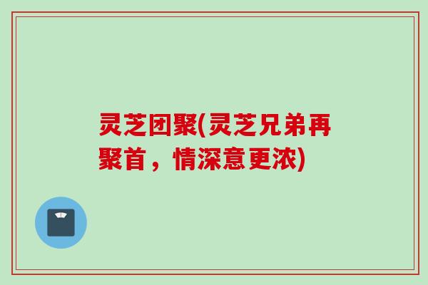 灵芝团聚(灵芝兄弟再聚首，情深意更浓)
